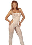 Wildcat Supersexy sheer tight catsuit