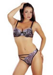 Maggie 2 pcs set consisting of purple embroidered bra & matching